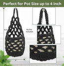 3PK Wall Planters for Indoor Plants, Macrame Plant Hanger | Wall Planter, Plant Hanger, Hanging Planter (3PK, for 4 inch Pot) by CozyNest Decor