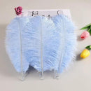 THARAHT Light Purple Ostrich Feathers 12pcs Natural Bulk 10-12Inch 25cm-30cm for Crafts Wedding Party Centerpieces Easter Gatsbi and Home Decoration Feathers by CozyNest Decor