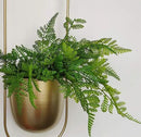 Boho Gold Metal Plant Hanger,Metal Wall and Ceiling Hanging Planter, Modern Planter, Mid Century Flower Pot Plant Holder, Minimalist Planter for Indoor Outdoor Home Decor by GreenHaven Gardens