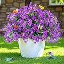 ‌20 Bundles Artificial Flowers for Outdoors‌ with 6 Faux Butterflies, UV Resistant ‌Fake Flowers‌ with Eucalyptus Leaves, ‌Artificial Plants Outdoor‌ for Patio Garden Porch Home Decor (Purple) by CozyNest Decor