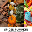 Pumpkin Candle, Fall Scented Candles for Halloween Easter Thanksgiving Day, 9oz Aromatherapy Soy Wax Non Toxic Candle for Home Scented 40 Hours Bruning- Birthday Halloween Gifts for Women Men by CozyNest Decor