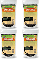 Organic Cat Grass Mix - Grow Nourishing Grass for Your Cat's Delight - 20 QUARTS by GreenHaven Gardens
