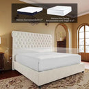 PaPaJet Bed Frame Queen Size Upholstered Platform Bed with 52.8'' Tall Sleigh Headboard, Button Tufted, No Box Spring Needed, Easy Assembly, Cream by CozyNest Decor