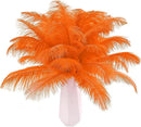 THARAHT Orange Ostrich Feathers 24pcs Natural Bulk 8-10Inch 20cm-25cm for Crafts Wedding Party Centerpieces Halloween and Home Decoration Feathers by CozyNest Decor