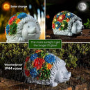 Solar Garden Statue – Cute Hedgehog with 7 Warm LED Lights, Solar-Powered & Weatherproof – Outdoor Lawn, Patio & Yard Décor – Charming Gift for Home & Garden Lovers by GreenHaven Gardens