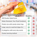 300 Vocabulary Flashcards | Double Sided English-Spanish Bilingual Flashcards for Adults & Kids Ages 12+ | Portable Noun Flash Cards to Learn Spanish for Adult Beginners by TinyTreasures Baby Boutique