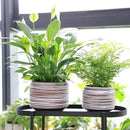 8 Inch + 6 Inch Ceramic Plant Pots Indoor with Drainage – Flower Pot Set, Decorative Indoor Planters for House Plants and Garden Use by CozyNest Decor