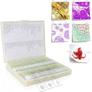100Pcs Prepared Microscope Slides Set Professional Specimens for Kids Student Homeschool Use by TinyTreasures Baby Boutique