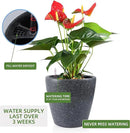Dexceder 13x12 Self Watering Planter with Wheels Indoor Outdoor, Inner Pot Design, Thickened Large Floor Standing Flower Plant Pot with Water Level Indicator (Stone Matte) by GreenHaven Gardens