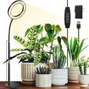 One Head Grow Lights for Indoor Plant Full Spectrum, Desk Halo Plant Lights for Indoor Growing with 3H/9H/12H Timer, 5 Dimmable Levels,Height Adjustable 9.4-23.6",Strong Metal Base Happy Light by GreenHaven Gardens