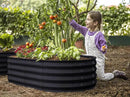 Galvanized Raised Garden Beds Outdoor // 4×2×1 ft Planter Raised Beds for Gardening, Vegetables, Flowers // Large Metal Garden Box (Black) // Patented Tool-Free Design by GreenHaven Gardens