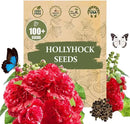 Premium Rare Hollyhock Seeds – 100+ Double Red Hollyhock Flower Seeds – Non-GMO, Heirloom Perennial – Showy Blooms for Outdoor Planting (Dwarf Double Red Hollyhock) by GreenHaven Gardens