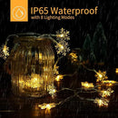 Brightown Solar Christmas Snowflake String Lights 2-Pack 100 LED 78FT Outdoor Waterproof Fairy Lights with 8 Lighting Modes for Wedding, Party, Tree, Room, Garden, Patio, Yard, Home(Warm White) by GreenHaven Gardens