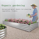 Galvanized Raised Garden Bed,12×2×1FT Metal Planting Box for Outdoor Vegetable, Herb,Planter Gardening (Silver) by GreenHaven Gardens