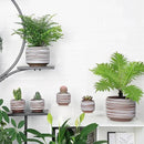 Mini Succulent Planter Set – 3.7 Inch Ceramic Pots with Drainage for Indoor Plants, Small Decorative Flower Pots for Cactus and House Plants, Set of 4 by CozyNest Decor