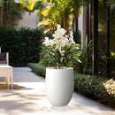 Kante 21.7" H White Concrete Tall Planter, Large Outdoor Indoor Decorative Pot with Drainage Hole and Rubber Plug, Modern Round Style for Home and Garden by GreenHaven Gardens