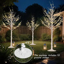 Outdoor Christmas Decorations Lighted Birch Tree Set of 3, LED Warm White 4, 6 and 8 Feet, for Indoor Christmas Decor, Party, Garden, Yard, Wedding, Holiday by CozyNest Decor
