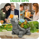 Solar Garden Outdoor Statues Turtle with Succulent Butterfly 8 LED Lights, Lawn Decor Tortoise Figurine for Patio Balcony Yard, Yard Unique Christmas Birthdays Gift for Mom Grandma by GreenHaven Gardens