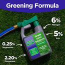 Commercial Grade Lawn Fertilizer with Iron- Liquid Fertilizer Spray- Nitrogen and Iron for Deeper Green Turf- Any Grass Type - Simple Lawn Solutions - Lawn Energizer - 32 Ounce by GreenHaven Gardens
