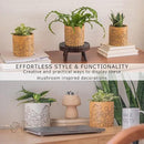 BASE ROOTS Mushroom Planter, Speckled Terracotta, Indoor/Outdoor, Holds Small Plants by GreenHaven Gardens