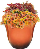 Classic Home and Garden Honeysuckle Resin Flower Pot Planter, Tequila Sunrise, 13" by GreenHaven Gardens