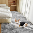 Ultra Soft Rug for Living Room, 4X6 Fluffy Shag Area Rug for Bedroom, Modern Shaggy Carpets Fuzzy Rug for Teens Dorm Nursery Home Decor Aesthetic, Upgrade Anti-Skid Durable, Tie-Dyed Light Grey by TinyTreasures Baby Boutique