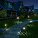 Solar Outdoor Lights, Outdoor Waterproof IP65, Bright Powered by Solar Garden Lights for Patio, Yard, Driveway Decoration (10 Pack) by GreenHaven Gardens