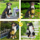 Afirst Dog Garden Statue - Outdoor Decor with Solar Lantern Lovely Bernese Mountain Dog Figurine Patio Lawn Yard Art Ornaments Housewarming Gift by GreenHaven Gardens