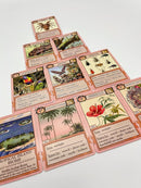 Ecologies: Hidden Habitats - Use Science to Build Food Webs in 7 Biomes - Beautiful Vintage Nature Art for The Classroom or Game Night by TinyTreasures Baby Boutique