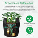 JERIA 12-Pack 30 Gallon, Vegetable/Flower/Plant Grow Bags, Aeration Fabric Pots with Handles (Black), Come with 12 Pcs Plant Labels by GreenHaven Gardens