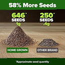 HOME GROWN White Sage Seeds 646 Pack 𝗡𝗢𝗡-𝗚𝗠𝗢, 𝗨𝗦𝗔-𝗦𝗢𝗨𝗥𝗖𝗘𝗗 Heirloom Seeds - Grow Aromatic Sage Plants for Your Herb Seeds Garden with Sage for Planting Outdoor or Indoor (Salvia apiana)
