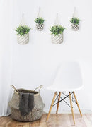 4PK Wall Planters for Indoor Plants, Macrame Plant Hanger | Wall Planter, Plant Hanger, Hanging Planter (2 Large + 2 Small) by CozyNest Decor
