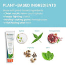 Himalaya Botanique Complete Care Toothpaste, Herbal, Mint Flavor, Fights Plaque, Freshens Breath, Fluoride Free, No Artificial Flavors, SLS Free, Cruelty Free, Foaming, 5.29 Oz, 2 Pack… by CozyNest Decor