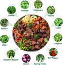 12 Varieties of Seasoning Seeds for Planting, Family Culinary Spice Herb & Veggie Seeds Packet, Basil, Rosemary, Thyme, Cilantro, Pepper, Mint, Non-GMO, Heirloom, for Home Garden Indoor Outdoor by GreenHaven Gardens