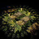 4-Pack Hummingbird Outdoor Decor Solar Pathway Lights, Metal Landscape Lighting for Outside Use: Patio, Yard, Lawn, Backyard, Walkway, Driveway – Gifts for Women, Mother, Grandmother by GreenHaven Gardens
