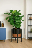 D'vine Dev Ceramic Planter with Ebony Stand - 12 Inch Modern Round Flower Pot with Wood Planter Holder, Black/Speckled Tan, 55-B-H-7 by GreenHaven Gardens