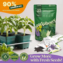 25 Culinary Classic Herb Seeds Variety Pack - 13,055+ Non-GMO Heirloom Herbs Seeds for Planting Indoor & Outdoor: Lavender, Rosemary, Dill, Mint, Catnip, Basil - Gardening Seeds Packets by GreenHaven Gardens
