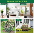 MQFORU 2Pack Tomato Planter Boxes with Trellis, 57" Self-Watering Tomato Planter for Climbing Vegetable and Plants, Raised Tomato Planter Boxes for Indoor Outdoor Patio Greenhouse Gardening by GreenHaven Gardens