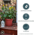 The HC Companies 10 Inch Round Plastic Classic Plant Saucer - Indoor Outdoor Plant Trays for Pots - 10.75"x10.75"x1.75" Sandstone by GreenHaven Gardens