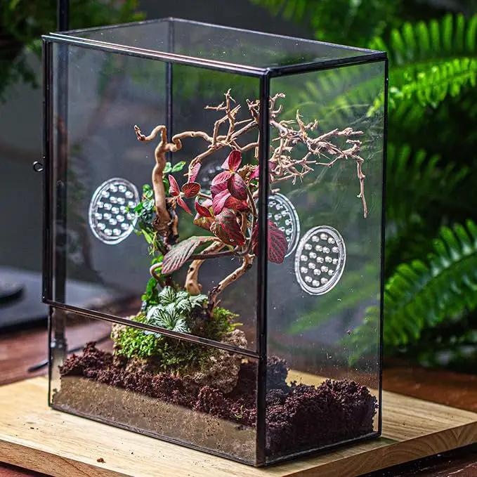 NCYP Glass Terrarium with Front Opening Door and 3 Vents for Insects, Snail, Spider, Glass Enclosure - 8"x4.5"x10" Clear Closed Plant Greenhouse Box (Terrarium Only), photo 2 of 7