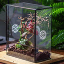 NCYP Glass Terrarium with Front Opening Door and 3 Vents for Insects, Snail, Spider, Glass Enclosure - 8"x4.5"x10" Clear Closed Plant Greenhouse Box (Terrarium Only) by GreenHaven Gardens