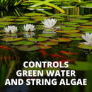 Tetra 77188 Algae Control Treats 36000 gallons, 101.4-Ounce by GreenHaven Gardens