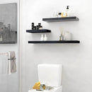 Fun Memories Deep Floating Shelves - 16" W x 9" D x 1.6" H Rustic Black Wall Shelf - Wall Mounted Shelves for Storage - Wooden Shelves with Invisible Brackets for Living Room, Farmhouse - Set of 2 by CozyNest Decor