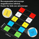 Microscope Slides with Specimens for Kids, 60 Lab-Grade Prepared Microscope Slides, Animal/Plant/Microbe/Tissue Samples, STEM Biology Kit for Homeschool, Classroom Labs & Science Education by TinyTreasures Baby Boutique
