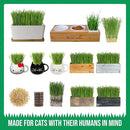 The Cat Ladies Organic Cat Grass Growing kit with Organic Seed Mix, Soil and Ceramic Planter with Bamboo Tray. Natural Hairball Control and Remedy for Cats by GreenHaven Gardens