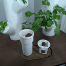 Grow Cubes for Hydroponic System/Compatible with Gardyn (5 Grow Cubes) by GreenHaven Gardens