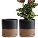 D'vine Dev Set of 2 Plants Pots, 8 Inch Ceramic Planter Pot for Plants with Drainage Hole and Saucer, Black/Speckled Tan, 94-V-D-7 by GreenHaven Gardens
