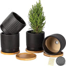 AOMRYOM 4.25 Inch Small Garden Ceramic Plant Pots with Drainage Holes and Tray, Modern Flower Planter Pots for Indoor Plants, Succulent, Cactus and Herbs, Black Stripe, Set of 4 (Plant Not Included) by GreenHaven Gardens