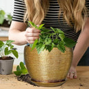 Ceramic Plant Pot 8 Inch - Planter for Outdoor Plants Indoor Plant Pot with Drainage Hole and Saucer Decorative Round Planter Modern Flower Pot for House Decor Gold by GreenHaven Gardens