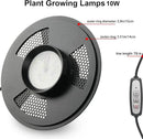 Desktop Glass Plant Terrarium with Grow Light (H:9.8" D:5.9"), for Succulent, Moss, Miniature Gardening Landscape, Betta Fish Tank, Indoor Plant Growth, Office Home Decoration, Plant Lovers Gifts by GreenHaven Gardens